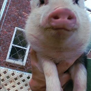 Meet your Posher, Lori